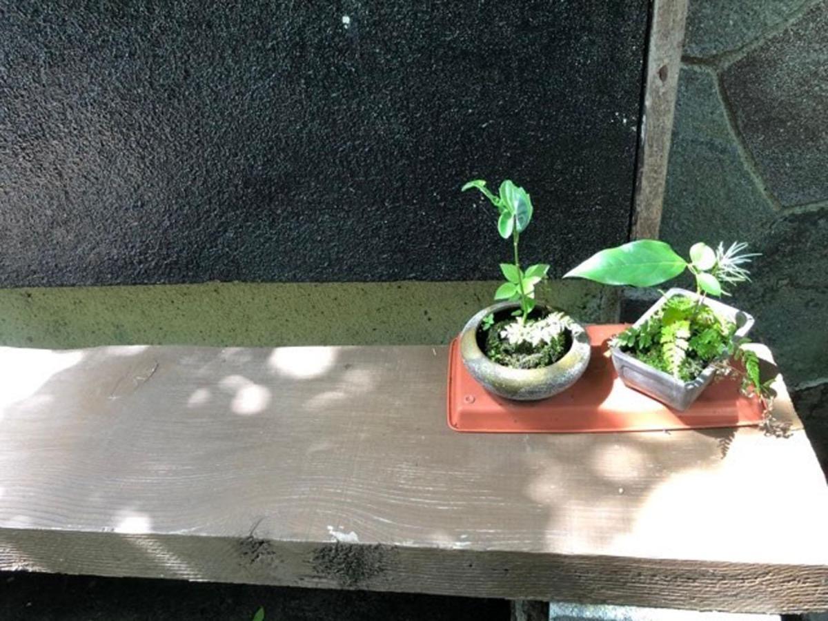 Chambre Dhote Tatami Suwa  Luaran gambar